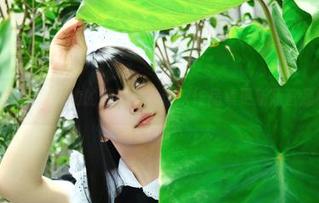 想看白莉爱吃巧克力的连衣裙？这次作品集更新简直是眼福啊！