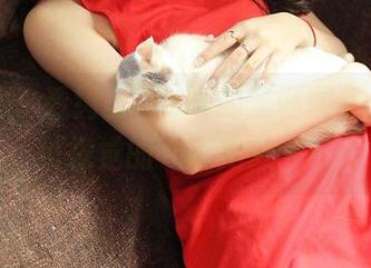 青豆客 – 看绮里嘉ula的圣诞图包,简直是视觉的‘不抱歉’!